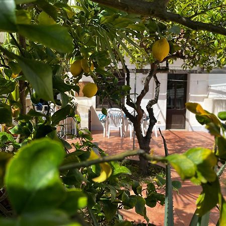 Casa Ciccio Apartamento San Vito Lo Capo Exterior foto